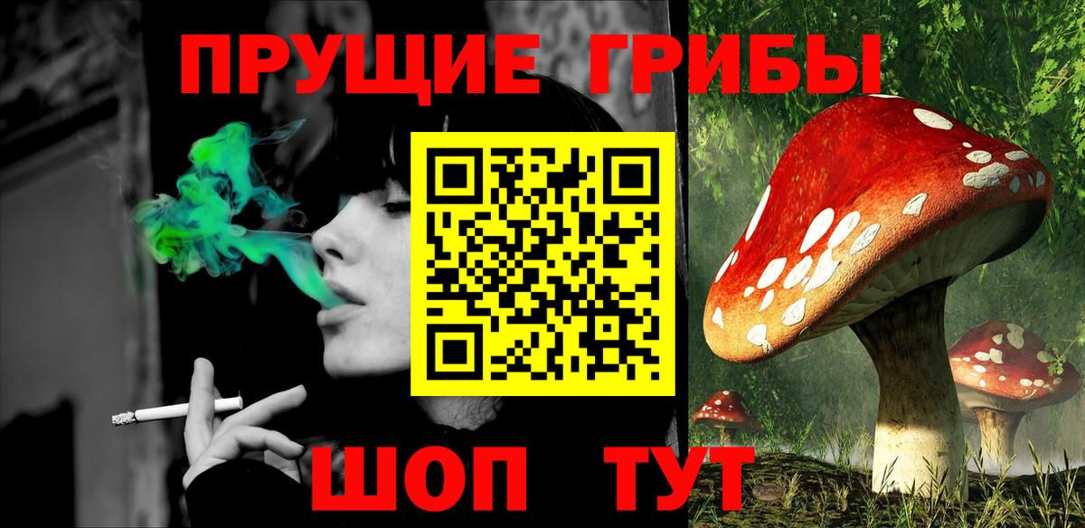 Галлюциногенные грибы мухоморы Тихвин